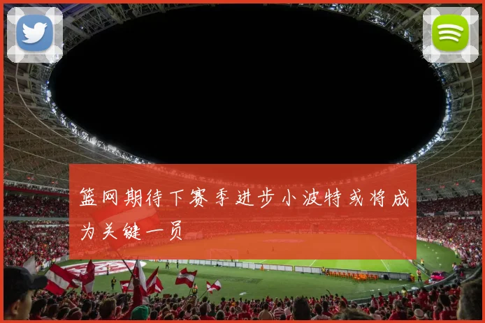 篮网期待下赛季进步小波特或将成为关键一员